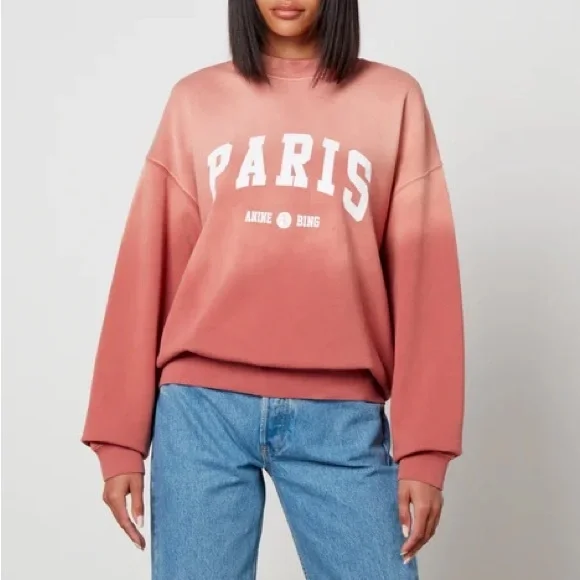 ANINE BING Jaci University Paris Cotton Sweatshirt in Washed Faded Terracotta - Picture 5 of 16
